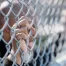 person holding chain link fence